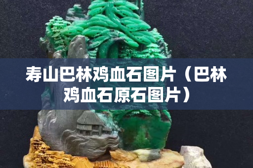 寿山巴林鸡血石图片（巴林鸡血石原石图片）