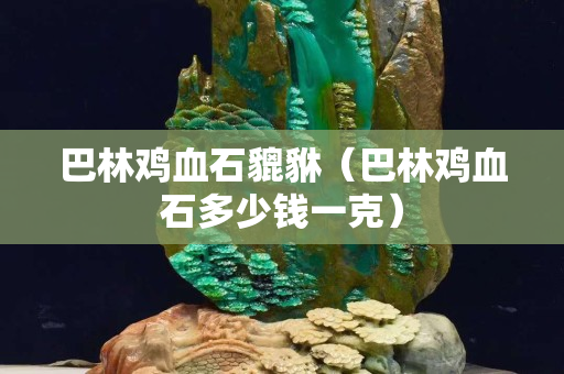 巴林鸡血石貔貅（巴林鸡血石多少钱一克）