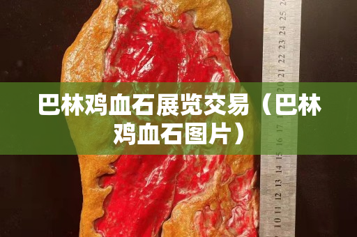 巴林鸡血石展览交易（巴林鸡血石图片）