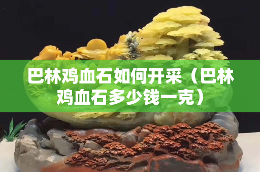 巴林鸡血石如何开采（巴林鸡血石多少钱一克）