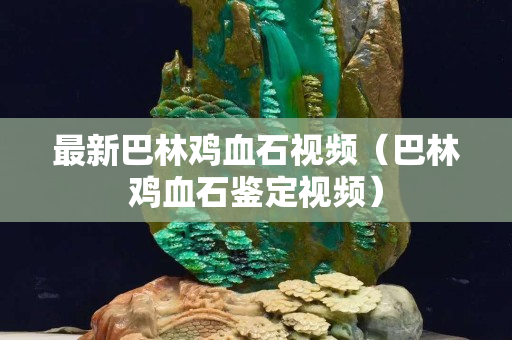 最新巴林鸡血石视频（巴林鸡血石鉴定视频）