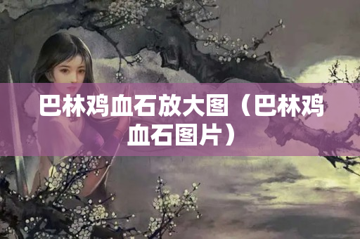 巴林鸡血石放大图（巴林鸡血石图片）