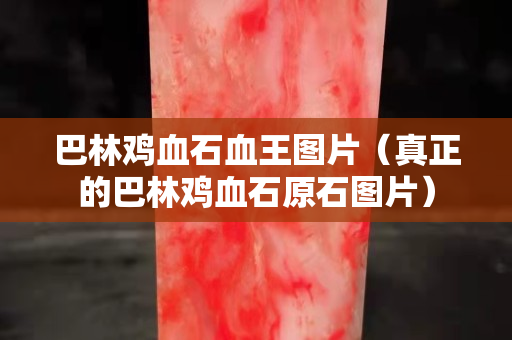 巴林鸡血石血王图片（真正的巴林鸡血石原石图片）