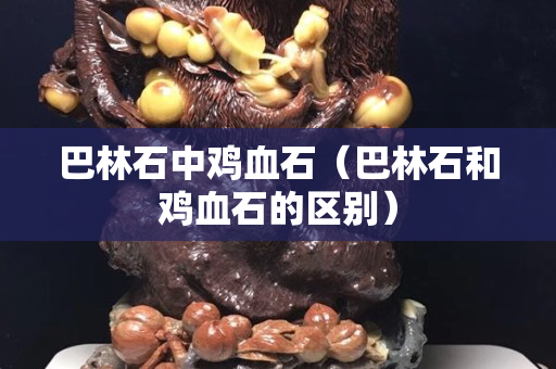 巴林石中鸡血石（巴林石和鸡血石的区别）