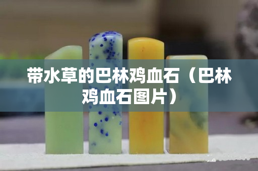 带水草的巴林鸡血石（巴林鸡血石图片）