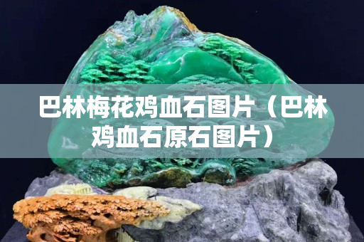 巴林梅花鸡血石图片（巴林鸡血石原石图片）