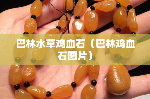 巴林水草鸡血石（巴林鸡血石图片）