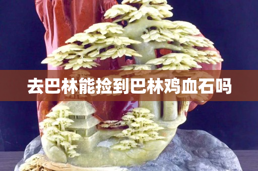 去巴林能捡到巴林鸡血石吗