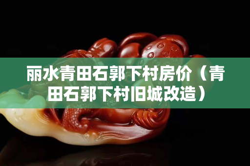 丽水青田石郭下村房价（青田石郭下村旧城改造）
