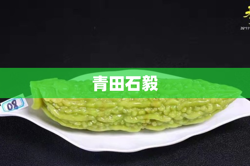青田石毅