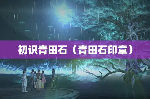 初识青田石（青田石印章）