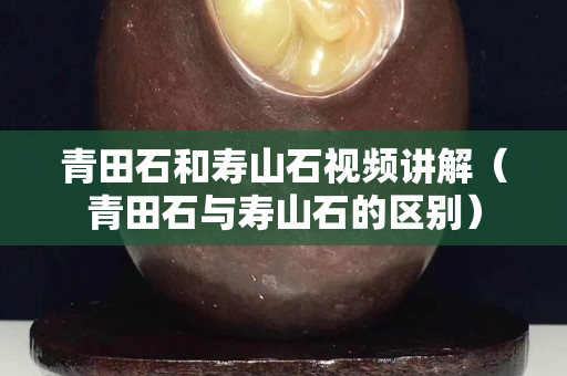 青田石和寿山石视频讲解（青田石与寿山石的区别）