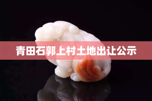 青田石郭上村土地出让公示