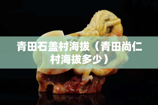 青田石盖村海拔（青田尚仁村海拔多少）