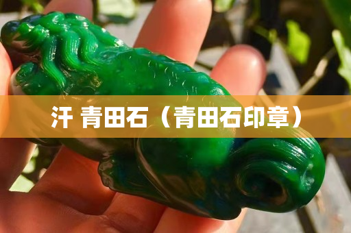 汗 青田石（青田石印章）