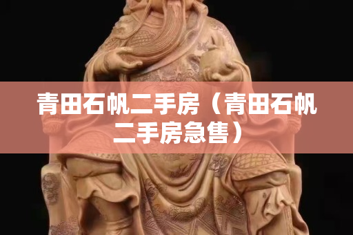青田石帆二手房（青田石帆二手房急售）
