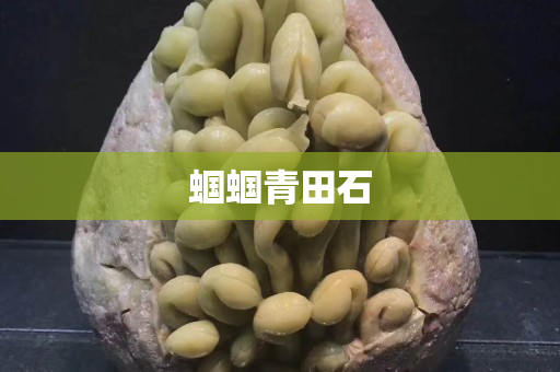 蝈蝈青田石
