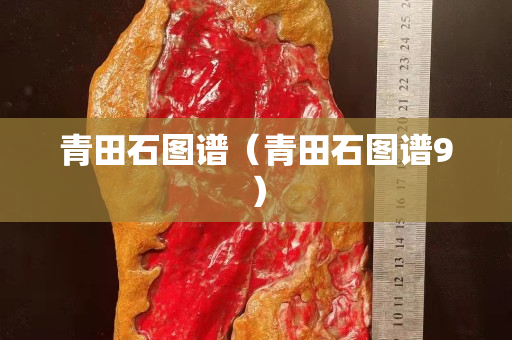 青田石图谱（青田石图谱9）