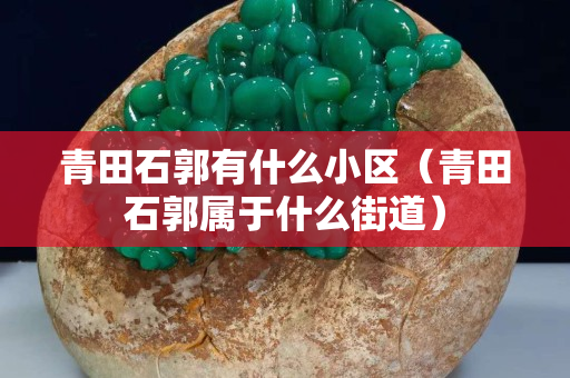 青田石郭有什么小区（青田石郭属于什么街道）