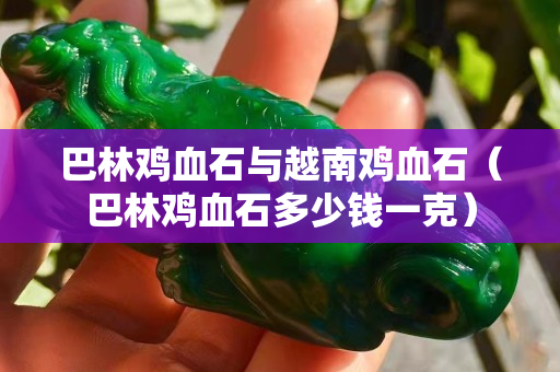巴林鸡血石与越南鸡血石（巴林鸡血石多少钱一克）
