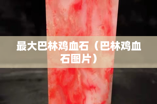 最大巴林鸡血石（巴林鸡血石图片）