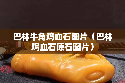 巴林牛角鸡血石图片（巴林鸡血石原石图片）