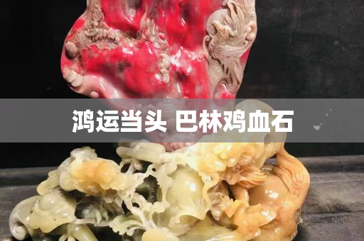 鸿运当头 巴林鸡血石