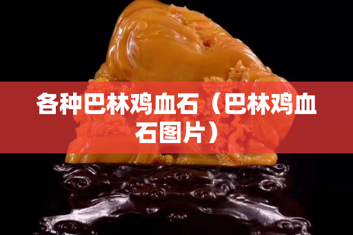 各种巴林鸡血石（巴林鸡血石图片）