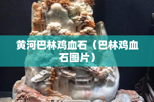 黄河巴林鸡血石（巴林鸡血石图片）