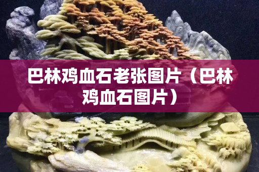 巴林鸡血石老张图片（巴林鸡血石图片）