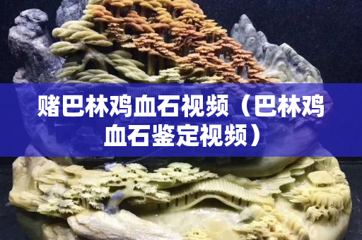 赌巴林鸡血石视频（巴林鸡血石鉴定视频）