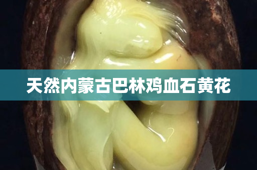 天然内蒙古巴林鸡血石黄花