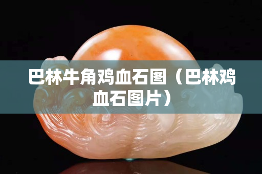 巴林牛角鸡血石图（巴林鸡血石图片）