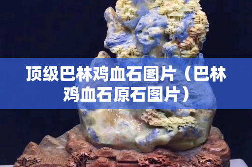 顶级巴林鸡血石图片（巴林鸡血石原石图片）