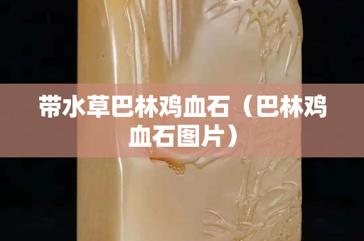 带水草巴林鸡血石（巴林鸡血石图片）