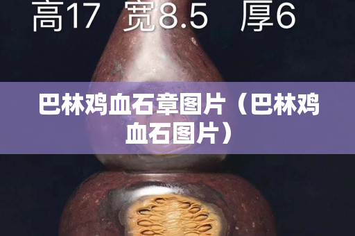 巴林鸡血石章图片（巴林鸡血石图片）