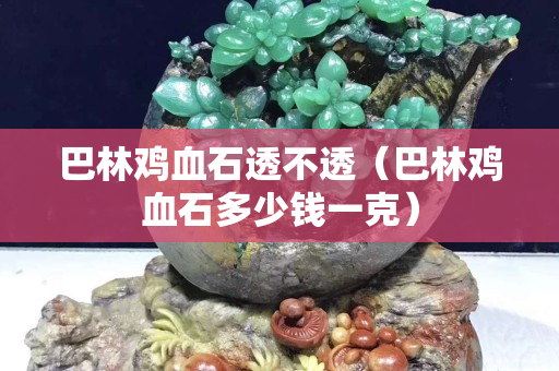 巴林鸡血石透不透（巴林鸡血石多少钱一克）