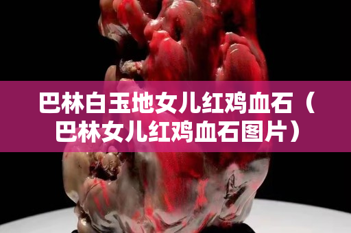 巴林白玉地女儿红鸡血石（巴林女儿红鸡血石图片）
