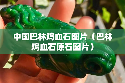 中国巴林鸡血石图片（巴林鸡血石原石图片）