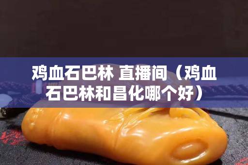 鸡血石巴林 直播间（鸡血石巴林和昌化哪个好）