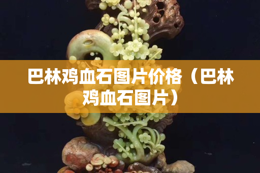 巴林鸡血石图片价格（巴林鸡血石图片）