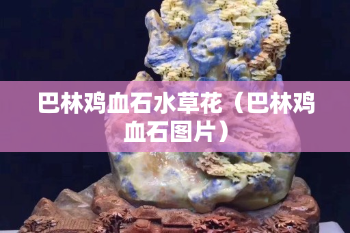 巴林鸡血石水草花（巴林鸡血石图片）