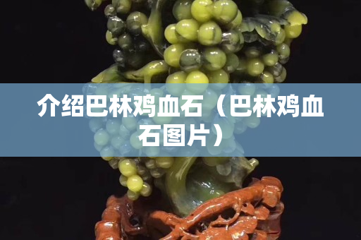 介绍巴林鸡血石（巴林鸡血石图片）