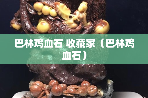 巴林鸡血石 收藏家（巴林鸡血石）