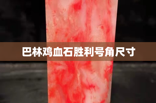 巴林鸡血石胜利号角尺寸