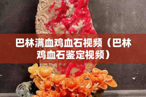 巴林满血鸡血石视频（巴林鸡血石鉴定视频）