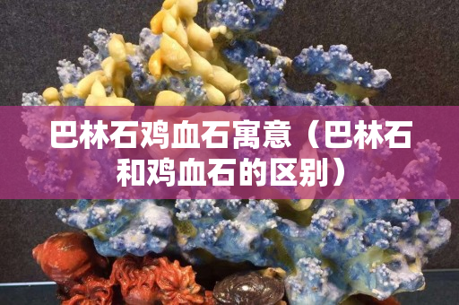 巴林石鸡血石寓意（巴林石和鸡血石的区别）
