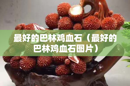 最好的巴林鸡血石（最好的巴林鸡血石图片）