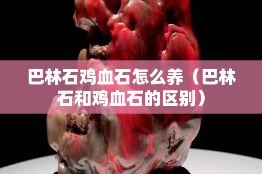 巴林石鸡血石怎么养（巴林石和鸡血石的区别）