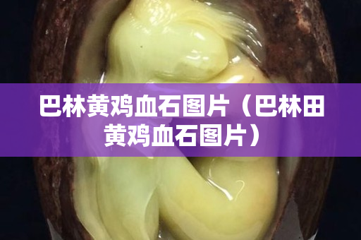巴林黄鸡血石图片（巴林田黄鸡血石图片）